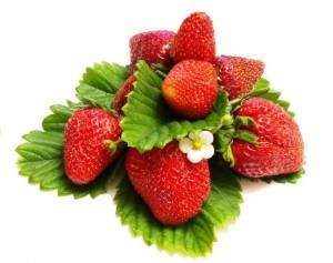 Jahody strawberry