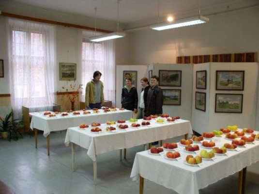 Výstava obrazů p.Bělíka spojená s výstavou ovoce, se konala od 28.10 do 31.10. 2004.