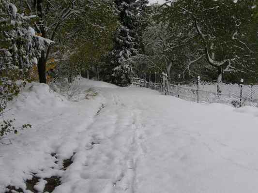 Cesta pod sněhem - (660 m n.m)
