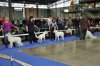 Anny Czech Choise, Iggy z Veselé rodiny, Xarria Jackie a Xoraya Nicol Donnevara - Female Puppy class