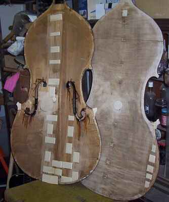 oprava kontrabasu-houslový model (2) - vrchní a spodní deska, po podlepení prasklin